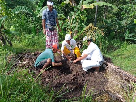 Persembahyangan Rahina Tumpek Wariga dan Penanaman Bibit Durian bersama Desa Adat Nagasepaha